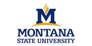 Shorelight - Montana State University Shorelight - Montana State University